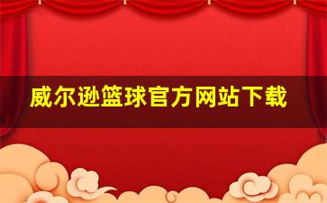 威尔逊篮球官方网站下载