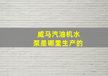 威马汽油机水泵是哪里生产的