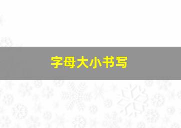 字母大小书写