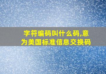 字符编码叫什么码,意为美国标准信息交换码