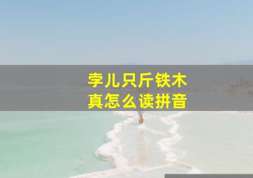 孛儿只斤铁木真怎么读拼音