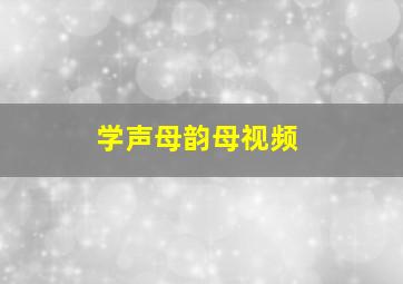 学声母韵母视频