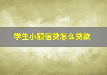 学生小额信贷怎么贷款