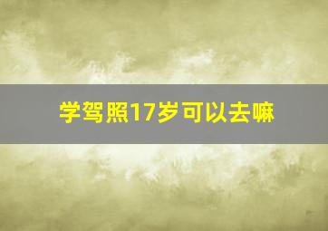 学驾照17岁可以去嘛