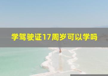 学驾驶证17周岁可以学吗