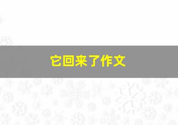 它回来了作文