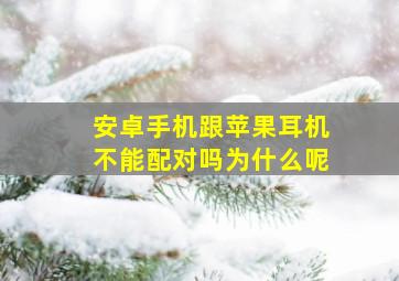 安卓手机跟苹果耳机不能配对吗为什么呢