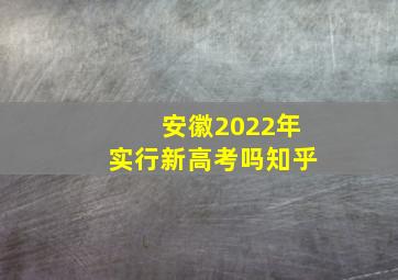 安徽2022年实行新高考吗知乎