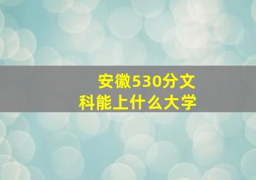 安徽530分文科能上什么大学