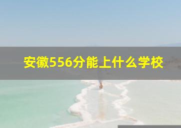 安徽556分能上什么学校