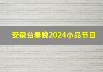 安徽台春晚2024小品节目