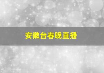 安徽台春晚直播