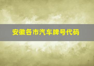 安徽各市汽车牌号代码