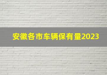 安徽各市车辆保有量2023