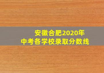 安徽合肥2020年中考各学校录取分数线