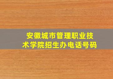 安徽城市管理职业技术学院招生办电话号码