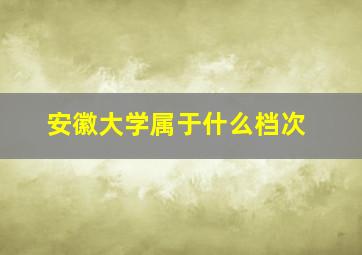 安徽大学属于什么档次