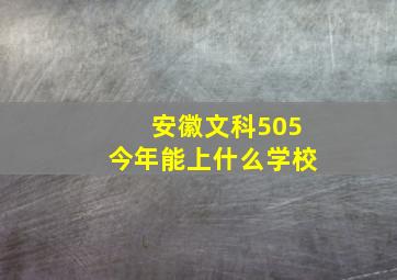 安徽文科505今年能上什么学校