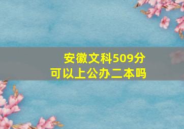 安徽文科509分可以上公办二本吗