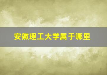 安徽理工大学属于哪里