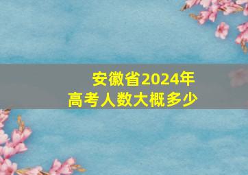 安徽省2024年高考人数大概多少