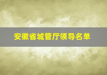 安徽省城管厅领导名单