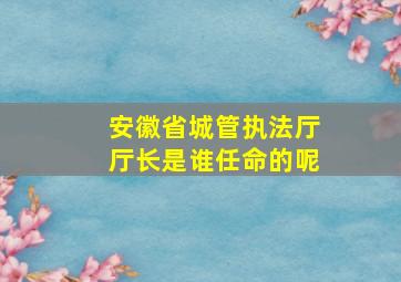 安徽省城管执法厅厅长是谁任命的呢