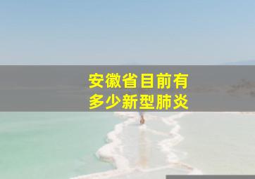 安徽省目前有多少新型肺炎