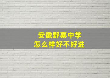 安徽野寨中学怎么样好不好进