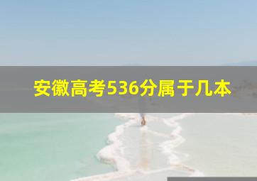 安徽高考536分属于几本