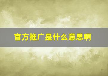 官方推广是什么意思啊