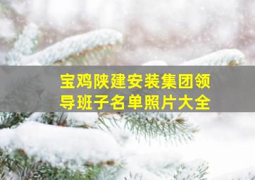 宝鸡陕建安装集团领导班子名单照片大全