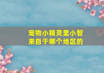 宠物小精灵里小智来自于哪个地区的