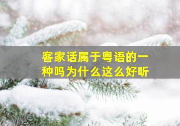 客家话属于粤语的一种吗为什么这么好听