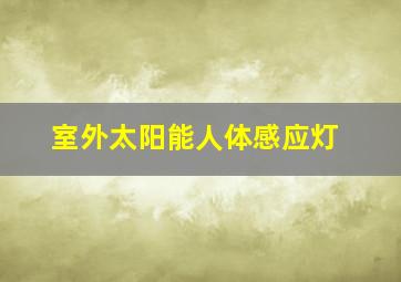 室外太阳能人体感应灯