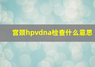 宫颈hpvdna检查什么意思