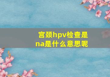 宫颈hpv检查是na是什么意思呢