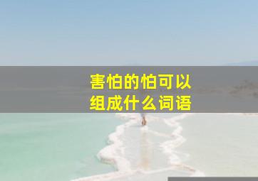 害怕的怕可以组成什么词语