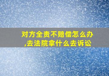 对方全责不赔偿怎么办,去法院拿什么去诉讼