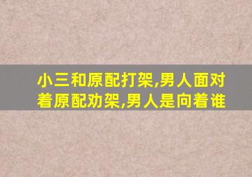 小三和原配打架,男人面对着原配劝架,男人是向着谁