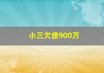 小三欠债900万