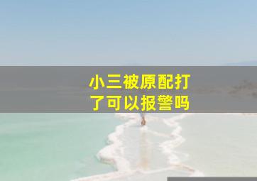 小三被原配打了可以报警吗