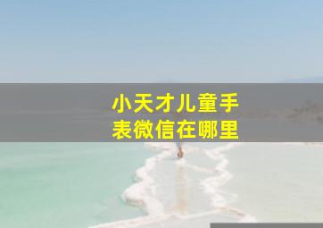 小天才儿童手表微信在哪里