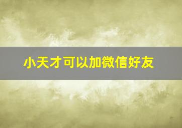 小天才可以加微信好友