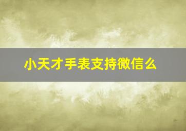 小天才手表支持微信么