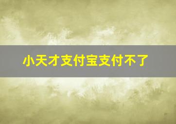 小天才支付宝支付不了