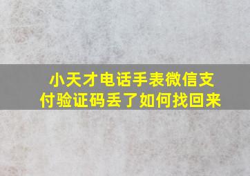 小天才电话手表微信支付验证码丢了如何找回来