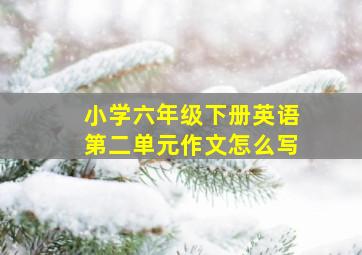 小学六年级下册英语第二单元作文怎么写