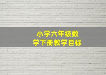 小学六年级数学下册教学目标