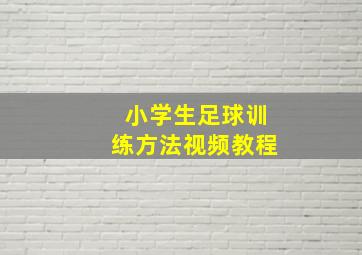 小学生足球训练方法视频教程